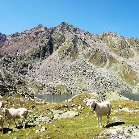 Wildmoos-2 By Interhome Lejlighed *