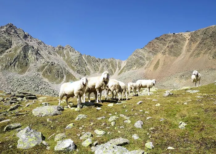 Apartamento Wildmoos-2 By Interhome Sölden